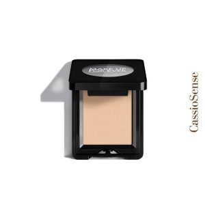Artist eyeshadow Col. 500 matte
